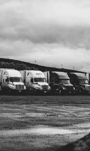 pexels-kevinbidwell-2348359